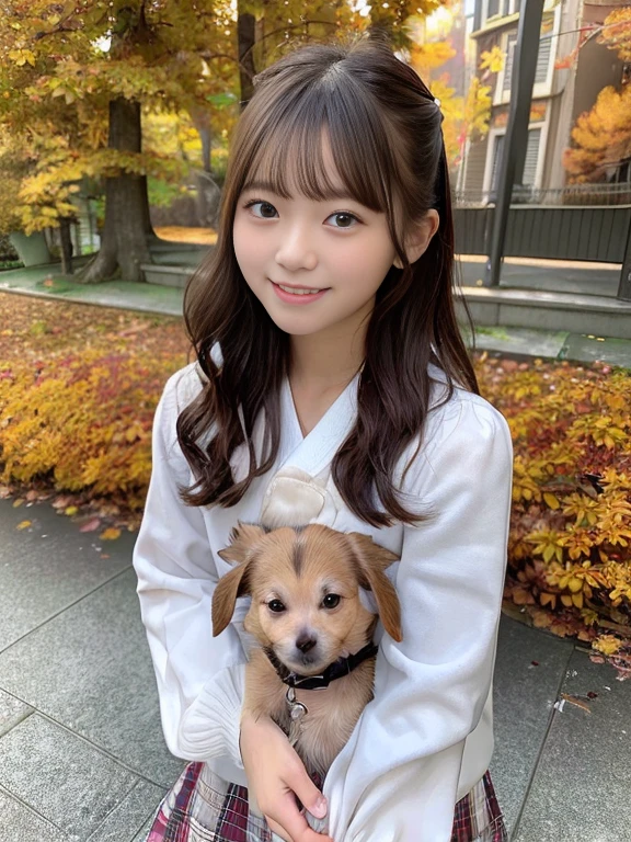 (highest quality、masterpiece:1.2)、highest quality、realistic、photograph、High resolution、1080P、8K、rough skin、physical rendering、1 Japanese women、high school student、cute、young face、curled hair、(Autumn outfit:1.5)、garden、((Holding a small dog:1.3))、squat、full of embarrassment、smile、