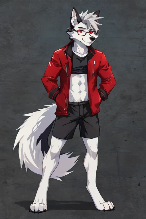 anthropomorphic, male, red eyes, silver hair, wolf, hellhound, (((1boys))), (((black shirt))), (white shorts), (red jacket), handsome, grey skin, long digitigrade legs, smiling, (glasses), slender