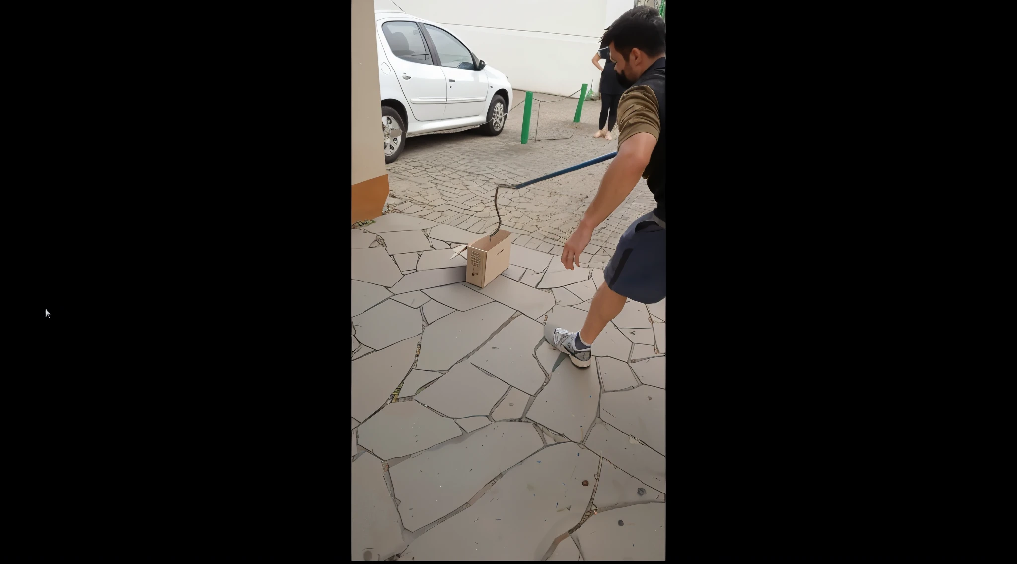 Man holding snake with a stick