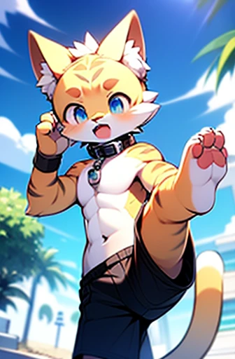 boy, squirrel, furry, bodyfur, tail, green goggles, green collar, green bra, bottomless, green gloves, green boots, chibi, sparkling eyes, small penis, testicles, doraemon