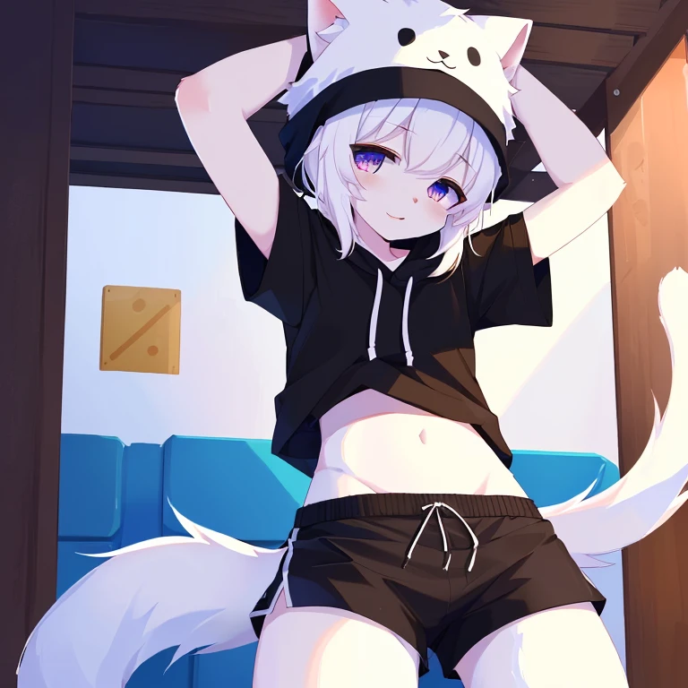 a white cat，black shorts，shorts over head