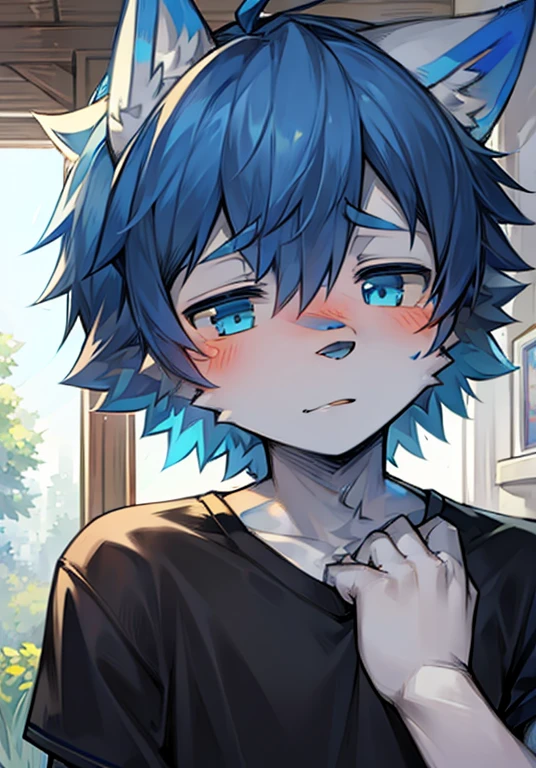 a boy, Wolf, white fur, juvenile, blue eyes, messy hair, blue hair, short hair,blue ear，Blue Tail，black nose，masterpiece, Very detailed，blush，Casual Clothing