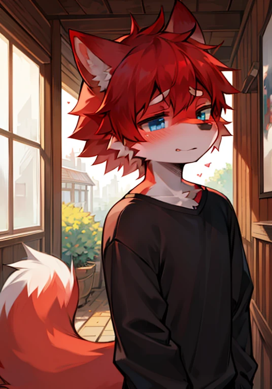 a boy, Wolf, White and red fur, juvenile, blue eyes, messy hair, white and red hair, short hair,red ears,Red tail,black nose,masterpiece, Very detailed,blush,Casual Clothing