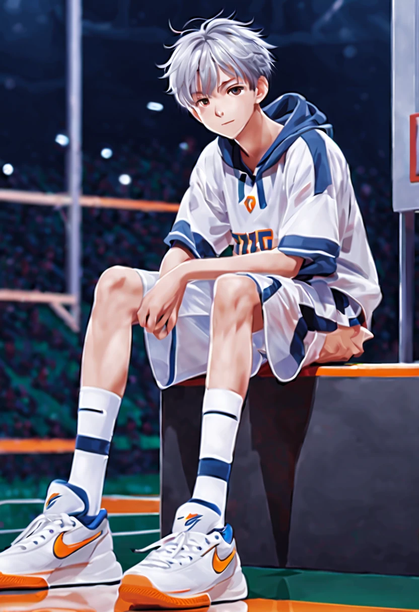 masterpiece，best quality，4k quality，unparalleled clarity，full body character，panoramic， Delicate face，
 a boy，sports student，Handsome boy，cute，，Shota，anime characters，Heterochromic eyes，smirk，Male focus is prominent，Gray hair is messy，sportswear，white nike basketball shoes，duck sitting，white socks，Living room background with clear face