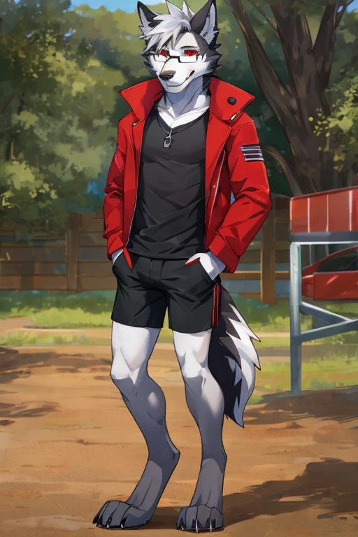 anthropomorphic, male, red eyes, silver hair, wolf, hellhound, (((1boys))), (((black shirt))), (white capri shorts), (red jacket), handsome, grey skin, long digitigrade legs, smiling, (glasses), slender