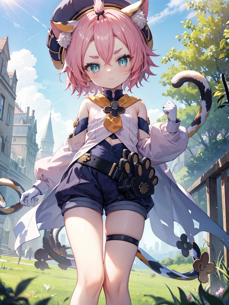 , , flat chest, bottomless, undressing, short, hat, young, chibi, thin legs, cat ears, detached sleeves, outside, tail, bright sunlight, good eyes, tsundere, grumpy, perfect body ratio, grass