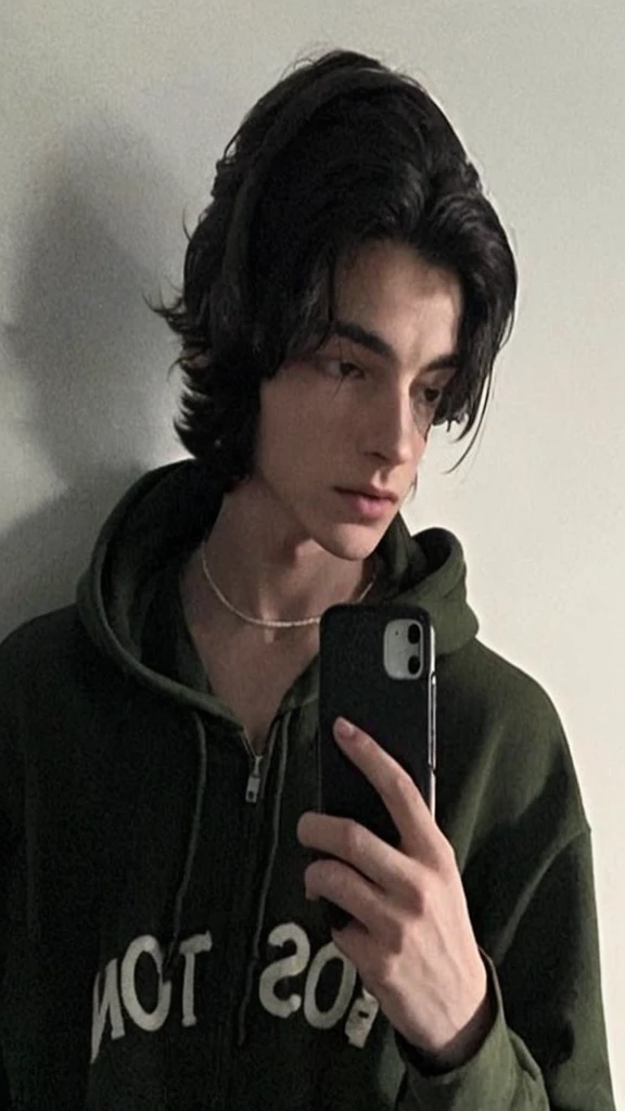 arafed young man in a green hoodie looking at his cell phone, delicate androgynous prince, declan mckenna, tommy 1 9 , beautiful androgynous prince, androgynous male, headshot profile picture, taken in the early 2020s, profile shot, androgynous person, wearing a hoodie and flowers, 19 years old, Regulus Black from Harry Potter saga