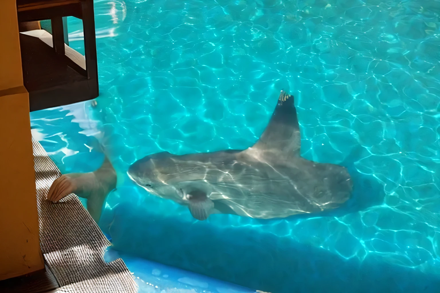 Please change the filled areas to the pool water in the background.,