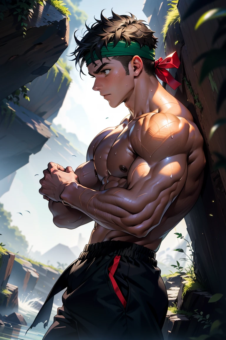 (Masterpiece, Best quality, 18 year old boy, 8k, ultra-detailed, (bust shot)), (from side below, looking away, worm eyes, thin lips), (1 boy, solo), Young, (teenager), (Dark Short straight hair, under cut, black eyes), Shirtless, topless, (torn Green headband), (Depth of field:1.2), (Abs, chest, upper arms), (topless male), man with martial arts stance, athretic body, (background: inside caves, night), sweat