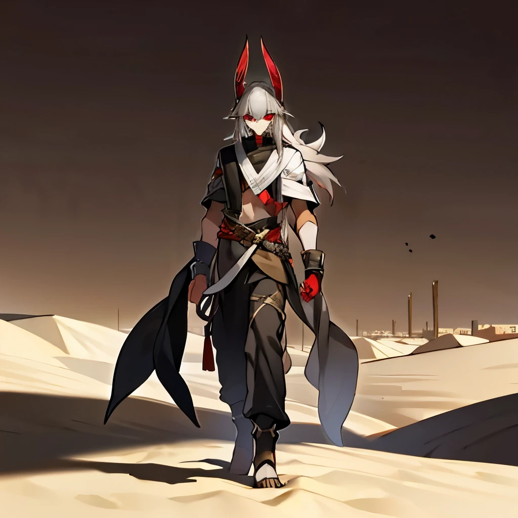 Anubis, 37 years old, Red eyes, long gray hair, swarthy skin color, desert in background