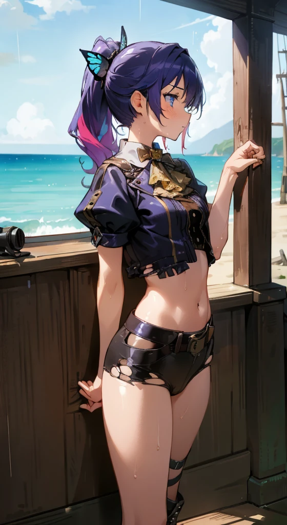 4k,hight resolution,Purple hair,poneyTail,Big,a pirate,Pirate Captain,Pirate Dresses,Pirate Hat,Navel Ejection,harbour