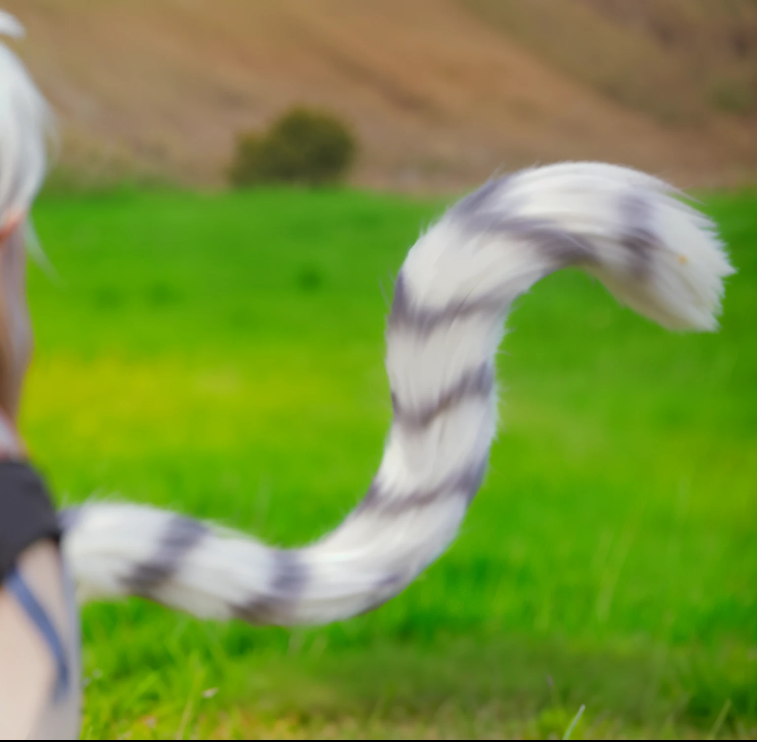 Tail,white hair,grassland,grass,high quality, 4K, super actual, actual, Super details