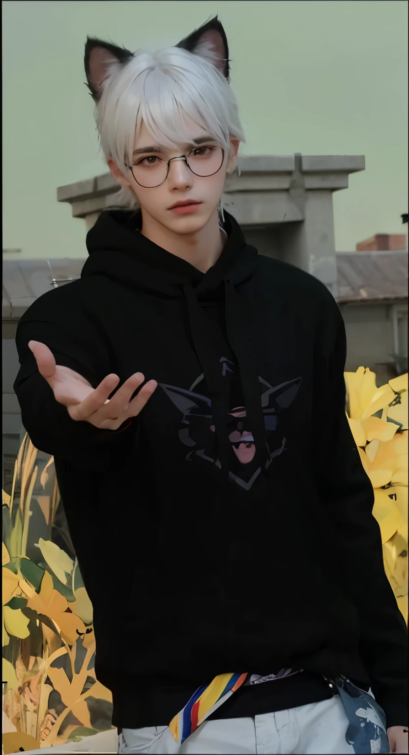 Boy, white hair, cat ear, glasses