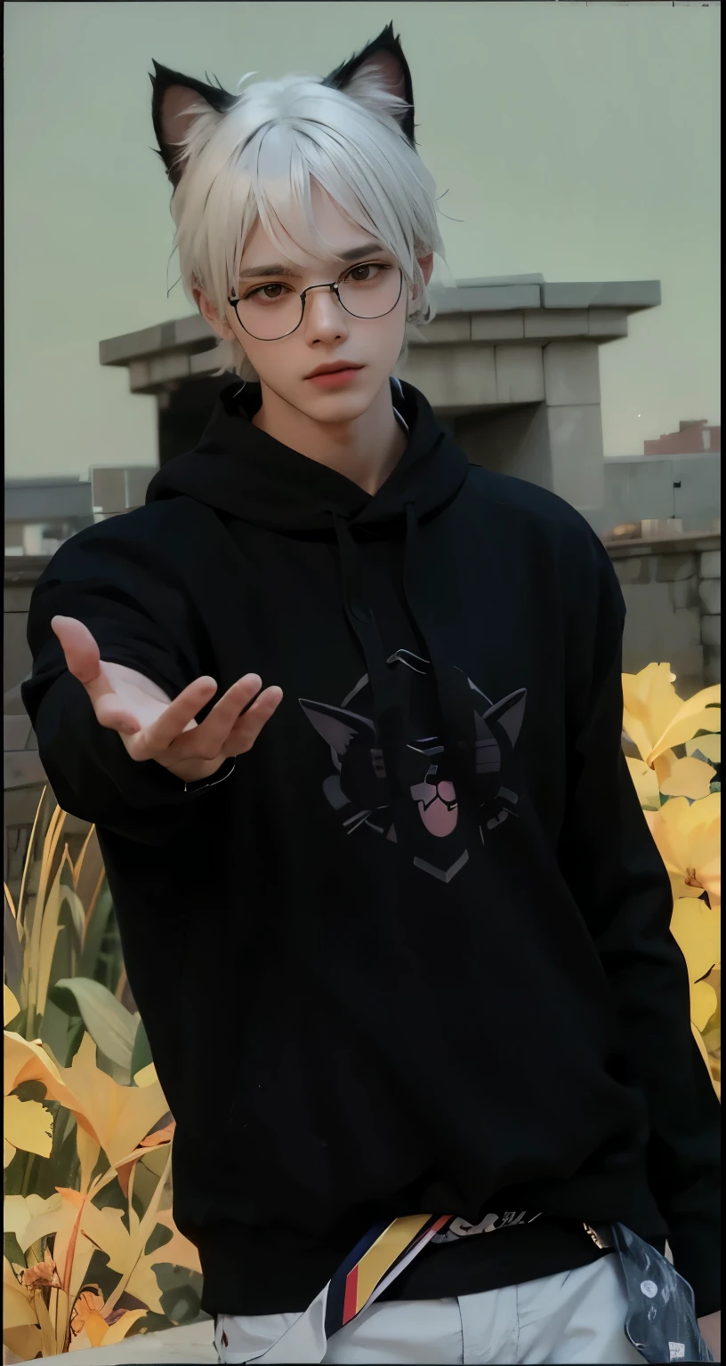 Boy, white hair, cat ear, glasses