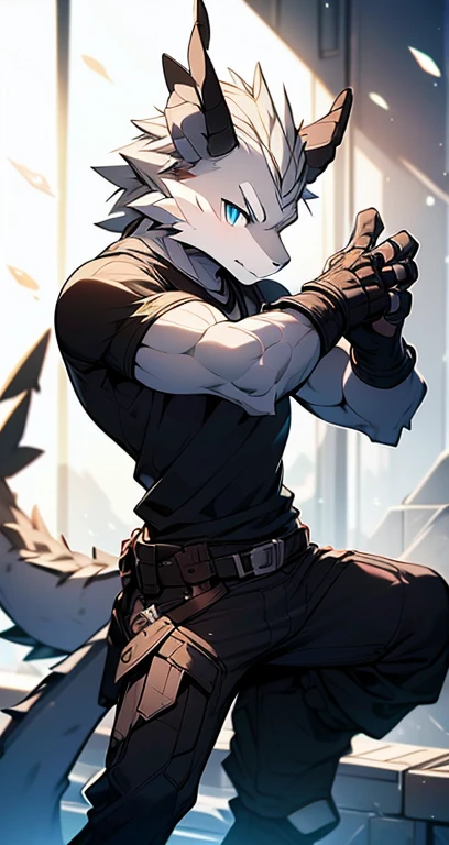 Masterpiece, Cool Pose, Furry Gray Dragon, Medium Strong Body, Blue Eyes, Grey Medium Hair, Combat Black Shirt, Combat Gloves, Combat Pants, Fierce, Good looking