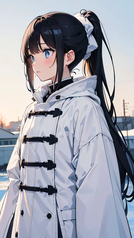 meek、black hair、expensive、backend、cold、boring、winter、fluttering hair、ponytail、light blue eyes、white coat、literature、blush、white and fluffy hair clip、white coatを着た、adult woman、expensive、