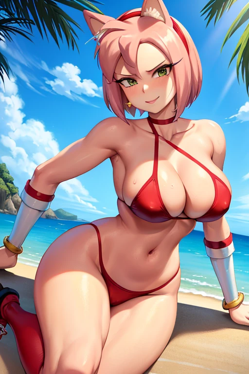 masterpiece, high resolution, best quality, beautiful art, well formed hands, body and fingers,rendered art, 1 woman, solo, Amy Rose, human form, grown up, adult, big breasted, cleavage, wearing a Tyris Flare outfit, sexy and skimpy bikini, long pink hair, alluring body, sexy legs, hips and thighs, she is doing exercise, warming up, stretching her legs and thighs, sexy training, sexy moves, smiling joyfully, training montage, beach background