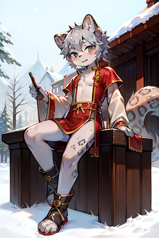 Shota,hairy,snow leopard,,,national style,,cheveux gris courts,Chinese costumes