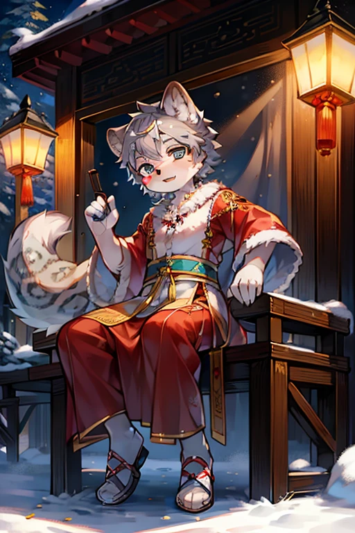 Shota,hairy,snow leopard,,,national style,,cheveux gris courts,Chinese costumes