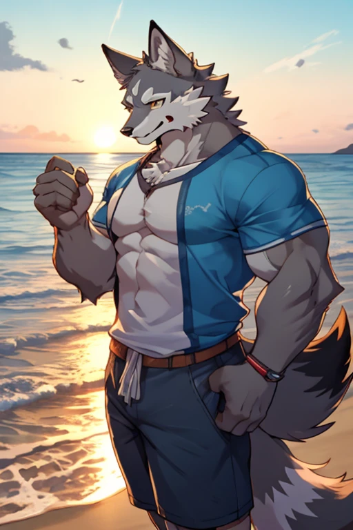 An image of a 19-year-old 9-tailed gray fox kemono having somewhat large and voluminous musculature with the sense that they are very well formed, trabaja, robusta y tonificada, llevando puesta ropa deportiva de culturista atractiva(sin ninguna camisa y teniendo una chaqueta larga azul sin mangas) y estando de paso por la orilla de una playa al atardecer.