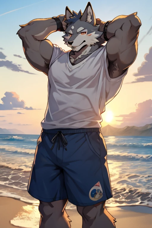 <lora:todd-08:0.9>, todd bronson, solo, (soft shading), 4k, hi res, detailed face, detailed eyes, detailed, ((full body)), by zackarry911, by zaush, (by personalami:0.5), (smile), grin, white tank top, shorts, adult, mature male, muscular, beach, ((pose)), otter, back at viewer, back on viewer, ass, otter tail,