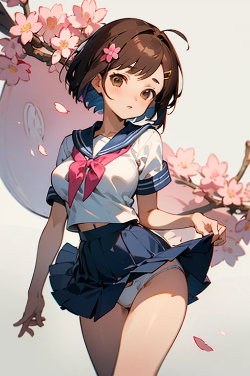((best quality)), ((masterpiece)), (detailed), the perfect face of a Japanese anime girl, short black or bodhaircut, dark brown eyes, a Sakura flower hairclip on her hair, dark blue sailor uniform, skirt over the knee, white panties with a pink bow in the middle. pear body type, big butt, cup d breast