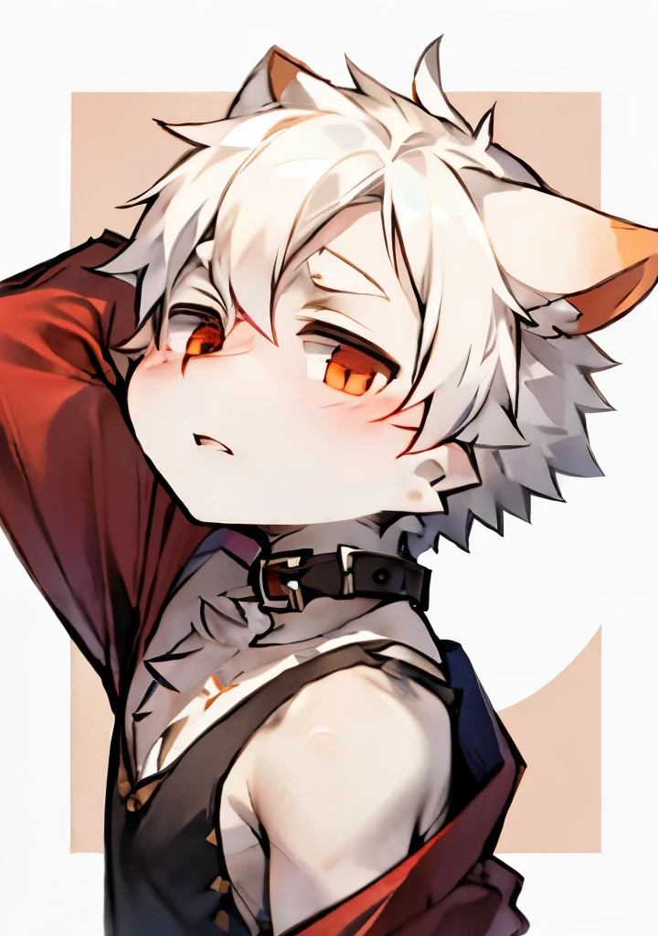 、no top dress、Beast Ears Shota、boys、collar、white hair、Face turned red