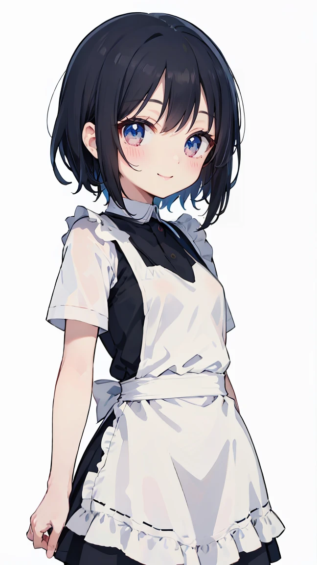masterpiece, highest quality, High resolution, disorganized, 8K, 4K, official art,, , (flat_color:0.9),, , 1 girl, small breasts, Maid clothes, 灰colorの髪の毛, , ,  