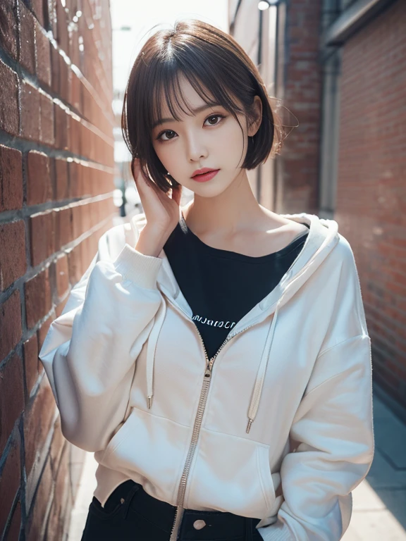 (((very detailed , 8k wallpaper, masterpiece, High resolution, highest quality))), ((Beautiful woman, Model-like posture, acrobatic pose,grunge fashion,wearing a big hoodie:1.2,)),, ((very detailed顔, very detailed black eyes, highest qualityのリアルテクスチャスキン)), (Short Bob Cut Hair, white skin,), (Brick Wall),Background bricks, surreal, digital paint,soft lighting