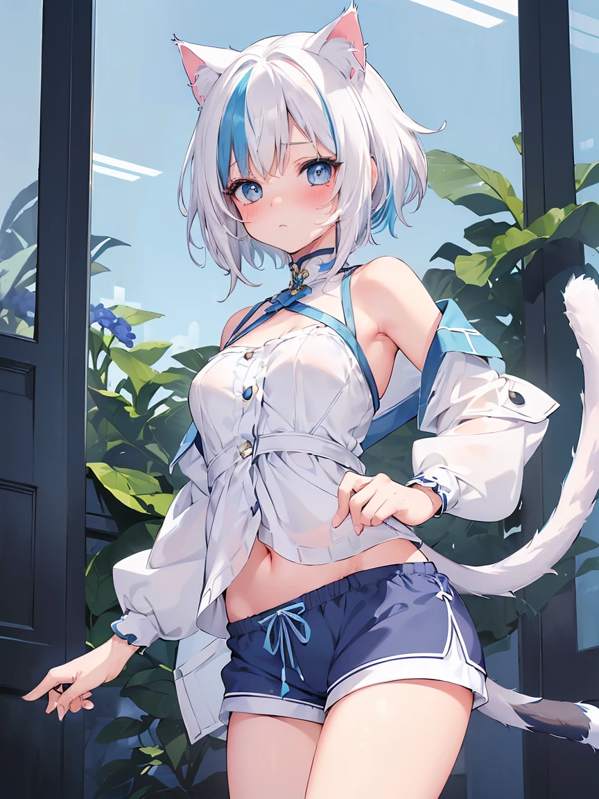 (Masterpiece, Slim Body, Delicate Fingers: 1.2), Best Quality, (Illustration: 1.2), (Hyper Detail), Eye Focus, Ultra Detail, (Fine Detail), (Intricate Detail), HDR, (Ultra Detail: 1.15), (Soft Light: 1.2), 1girl, (adventure outfits:1.5), (fantasy outfit:1.5), (fantasy theme:1.5), (short pants:1.2), (bare shoulder:1.5),  (White hair and blue highlights:1.5), (light blue eyes:1.3), medium, short hair, solo, (small breasts:1.3), masterpiece, (blushing:1.1), best quality, highly detailed, (fullbody image:1.5), kwaii, (blue inner hair:1.2), (two-tone hair:1.5), (cat ears:1.4), cat tail, ( sleeveless:1.5), (bare shoulder:1.3), (White tights:1.3)