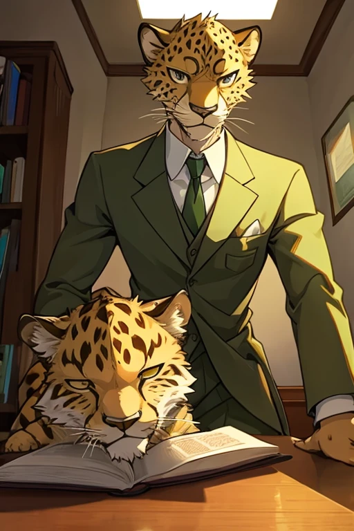solo, male, cheetah, beastars