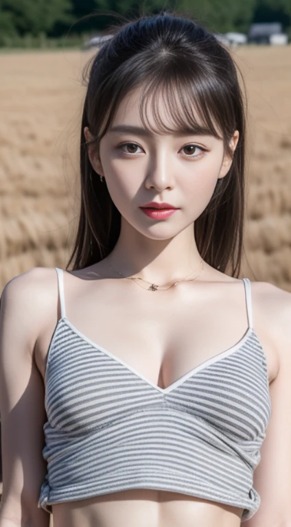 1 real photo of a cute Korean star, striped hair, White skin, Light makeup, 32 inches bust, Wearing a gray crop top top, on a farm, upper body portrait, spark, ultra high definition