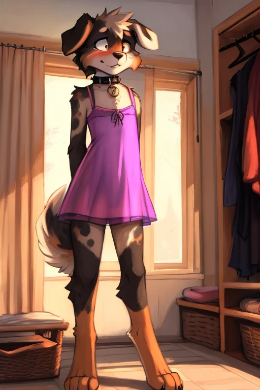 by Zackary911, kenket, kilinah, Zackary911, uploaded to e621, 8k, ultra detailed, solo, (twink), dark, ((Australian shepard)), male, slender, beautiful and detailed illustration, short hair, digitigrade legs, very fluffy detailed fur, fluffy tail, (see-through summer dress, girls underwear, collar), changing room, small bulge, fluffy hips, embarrassed