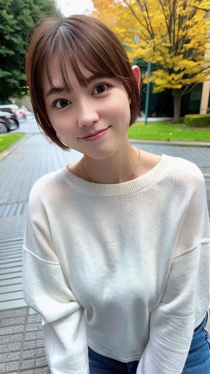 Nikon RAW photo,8 k, Fujifilm XT3,masterpiece, best quality, realistic, photorealistic, ultra detailed,1girl,nvshen, sweater, short hair,