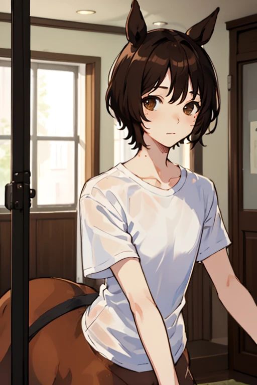 12 year old centaur male、、Short brown hair、indoor、white t-shirt、(perspective close to the face、Upper body is the main)