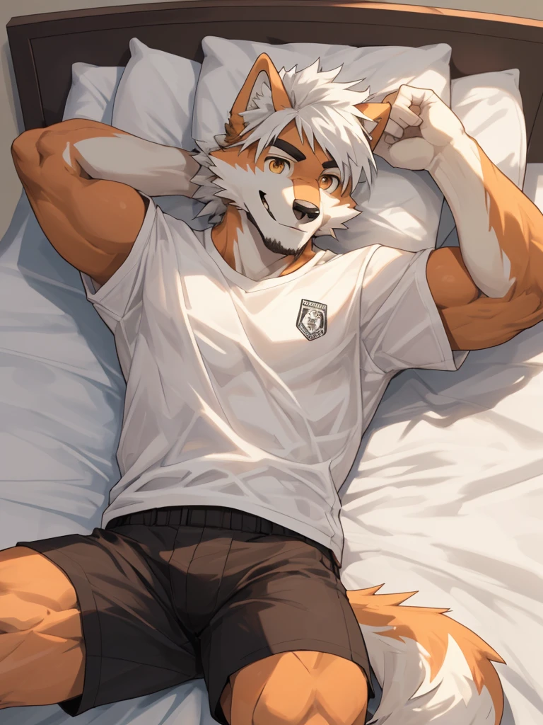 1man,Correct body structure,Correct finger structure,Correct pupil structure,single person, ((orange fur)), orange wolf, strong, white hair, smile, brown pupils, wolf tail, Medium length hair, In the bedroom, lying on the bed, white shirt, black shorts, agers