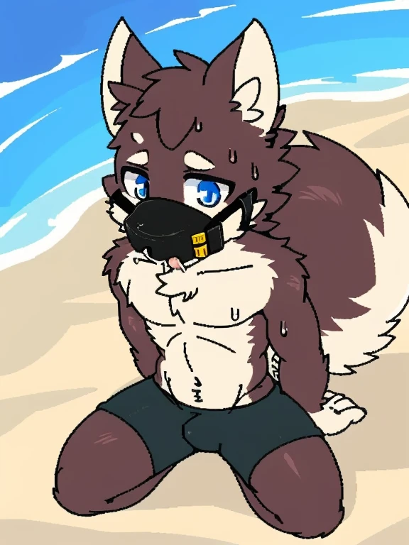 A wolf cub kneels on the beach,alone,Wearing black shorts,A lot of white saliva flows out,((wet fur 1.4))sweating((gag:1.2))((muzzled))