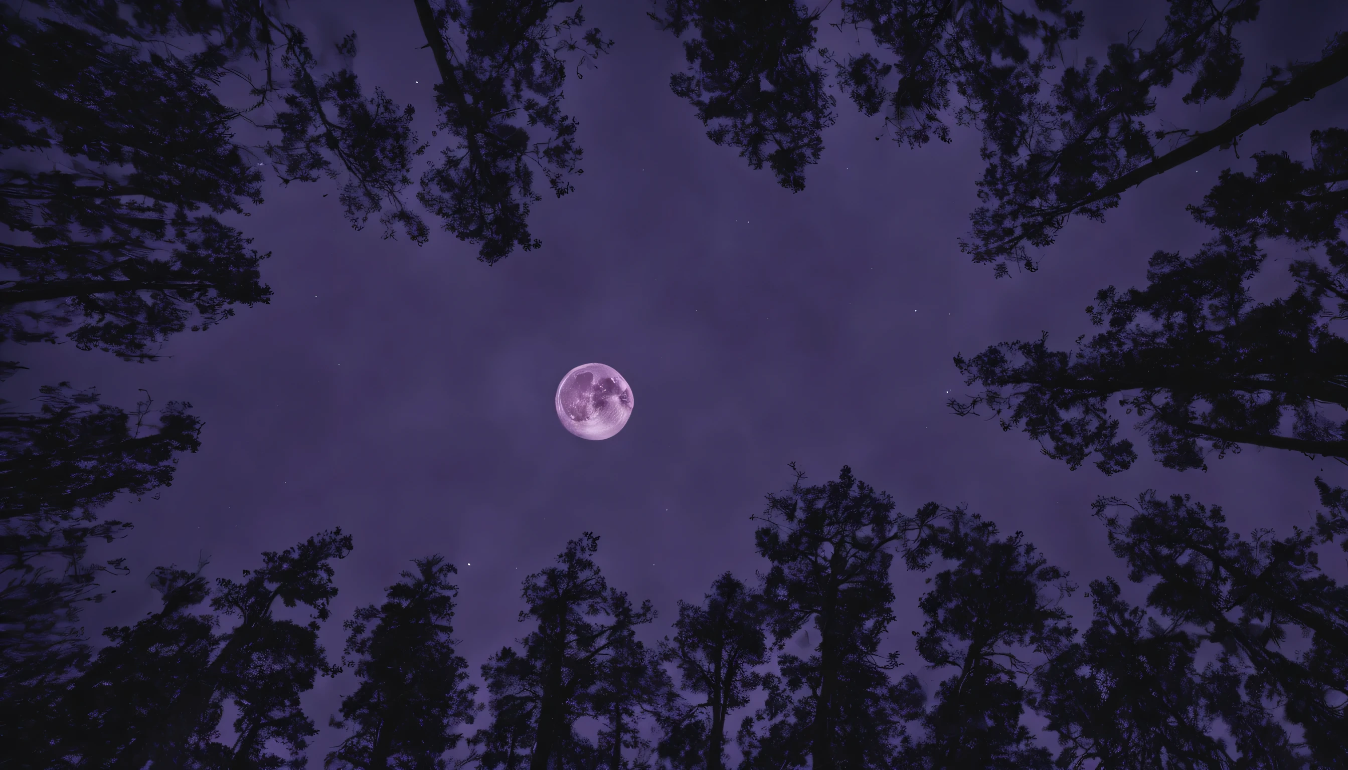 (highest quality,4K,High resolution),Dark forest landscape at night with full moon,20mm cinema lens,Purple and black color scheme,wood