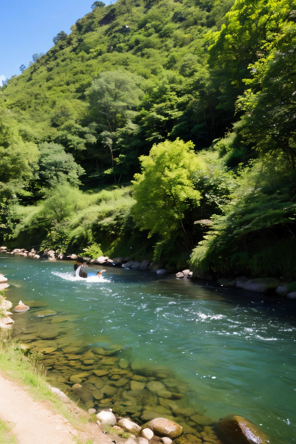 A calm stream flowing through a low mountain,Japan,sunny day,Blue sky,Summer Day,University students playing by the river