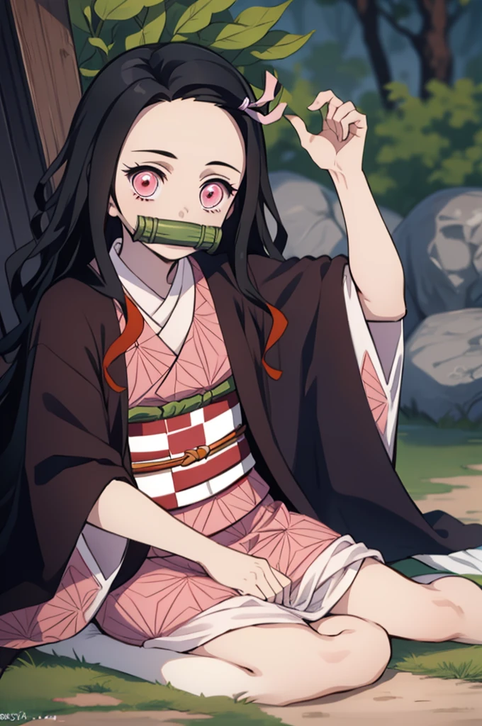 Nezu furnace, Nezuko Kamado, Bamboo, (bit gag:1.5), 1:1,Chibi,Black hair, (Forehead:1.5), gag, Gagged, Hair Ribbon, Long hair, multicolored hair, (Pink eyes:1.5), Orange hair, Slit pupils, Wavy Hair, Two-tone hair,
Break asa is not (Pattern), Checkered sash, haori, komono, Kimono, Long sleeves, Obi, Pink kimono, sash, wariza,  Wide sleeves,
BREAK looking at viewer,
Break indoors,
BREAK (masutepiece:1.2), Best Quality, High resolution, Unity 8k壁纸, (Illustration:0.8), (Beautiful detailed eyes:1.6), extra detailed face, Perfect Lighting, extremely details CG, (Perfect hands, Perfect Anatomy), different pose, sitting on the floor