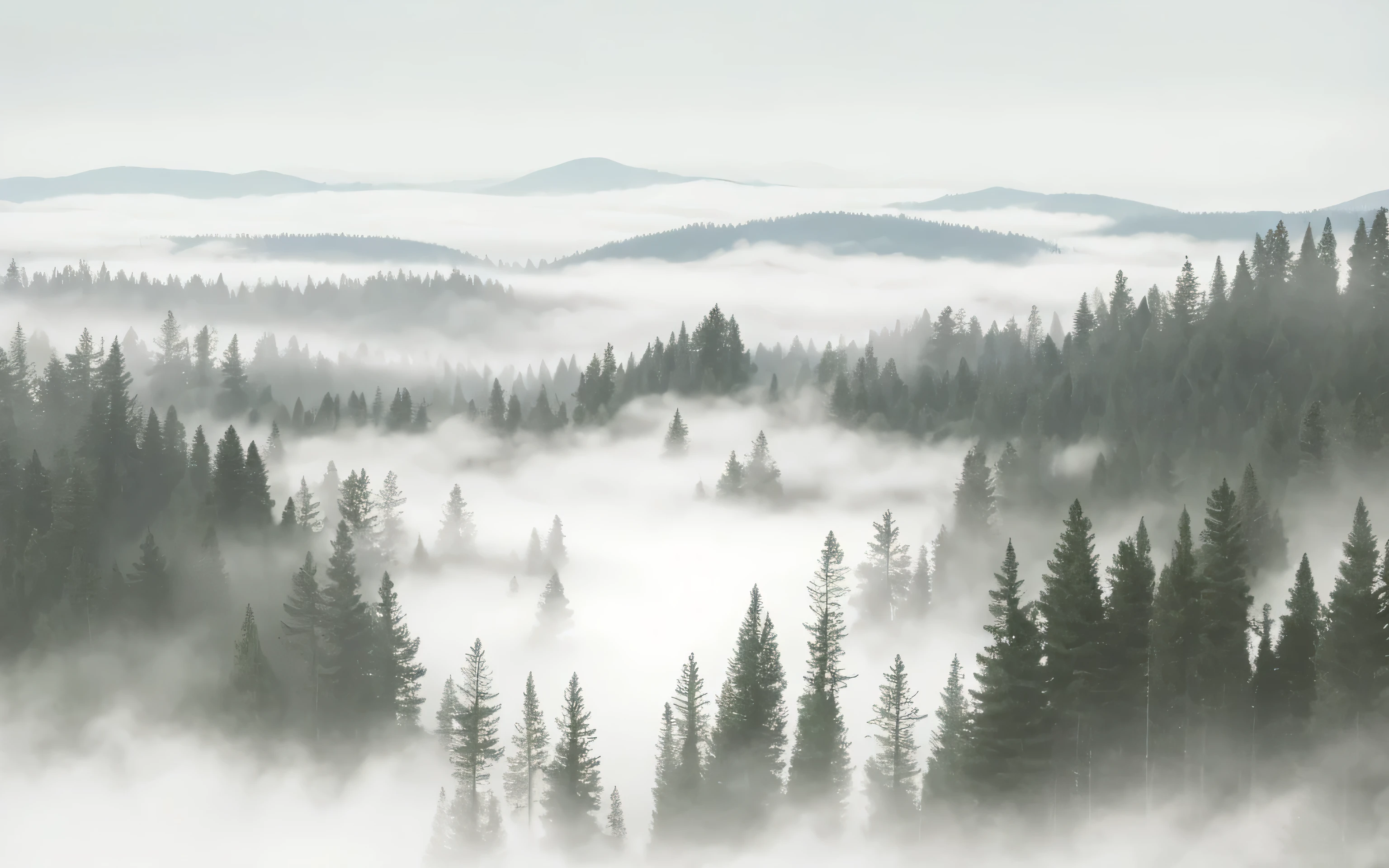 a close up of a mountain with a forest in the background, grey forest background, foggy forrest backdrop, mountainous background, mountains in fog background, soft forest background, beautiful pine tree landscape, detailed scenery —width 672, mountain background, scenic background, forest backdrop, taiga landscape, misty background, grey forest in the background, beatiful mountain background