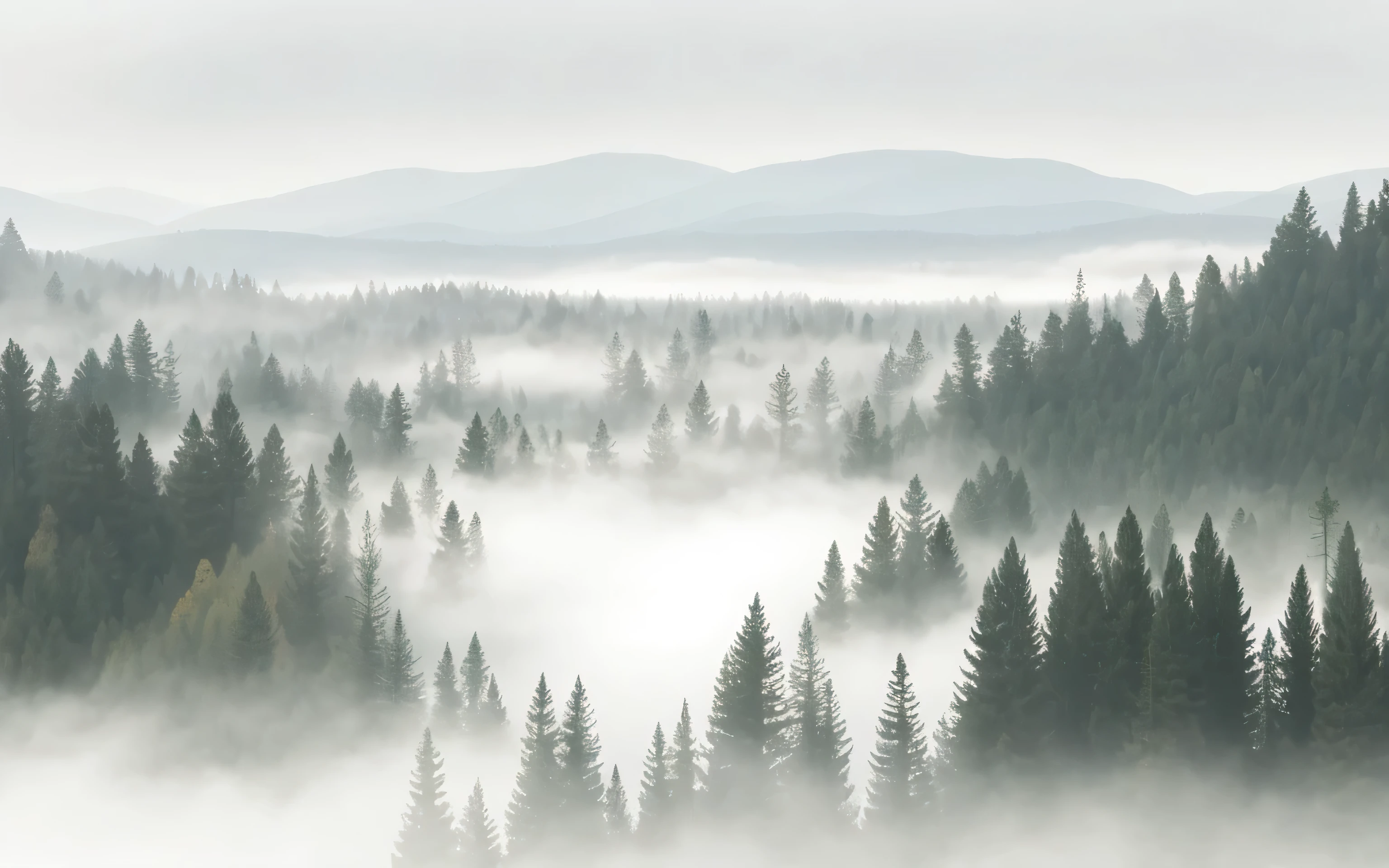 a close up of a mountain with a forest in the background, grey forest background, foggy forrest backdrop, mountainous background, mountains in fog background, soft forest background, beautiful pine tree landscape, detailed scenery —width 672, mountain background, scenic background, forest backdrop, taiga landscape, misty background, grey forest in the background, beatiful mountain background