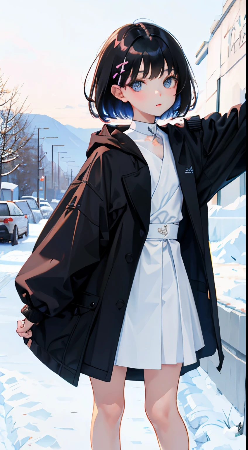 (short cute girl, young studeg delicate girl),(masterpiece,Top quality),Pastel coat,black hair,snowfield