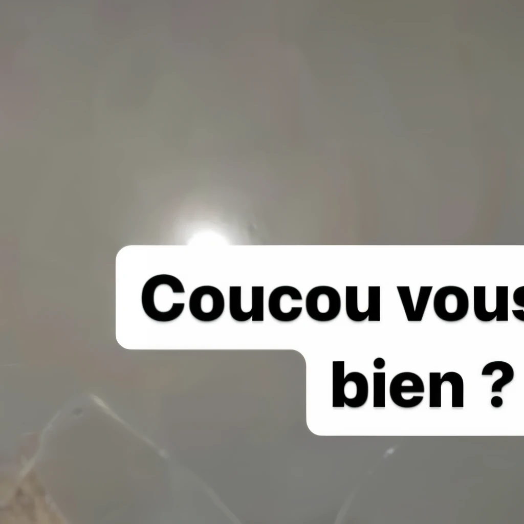 there is a chat that is looking at the camera with a caption above it, haha!', Histoire Instagram, !!! chat!!!, 🇺🇦, gouche, 🐋 as 🐘 as 🤖 as 👽 as 🐳, !!!! chat!!!!, Aww, ahhhhhh, a cute chat, 🚀🌈🤩, illustration!, chatss, chat photo, funny chat