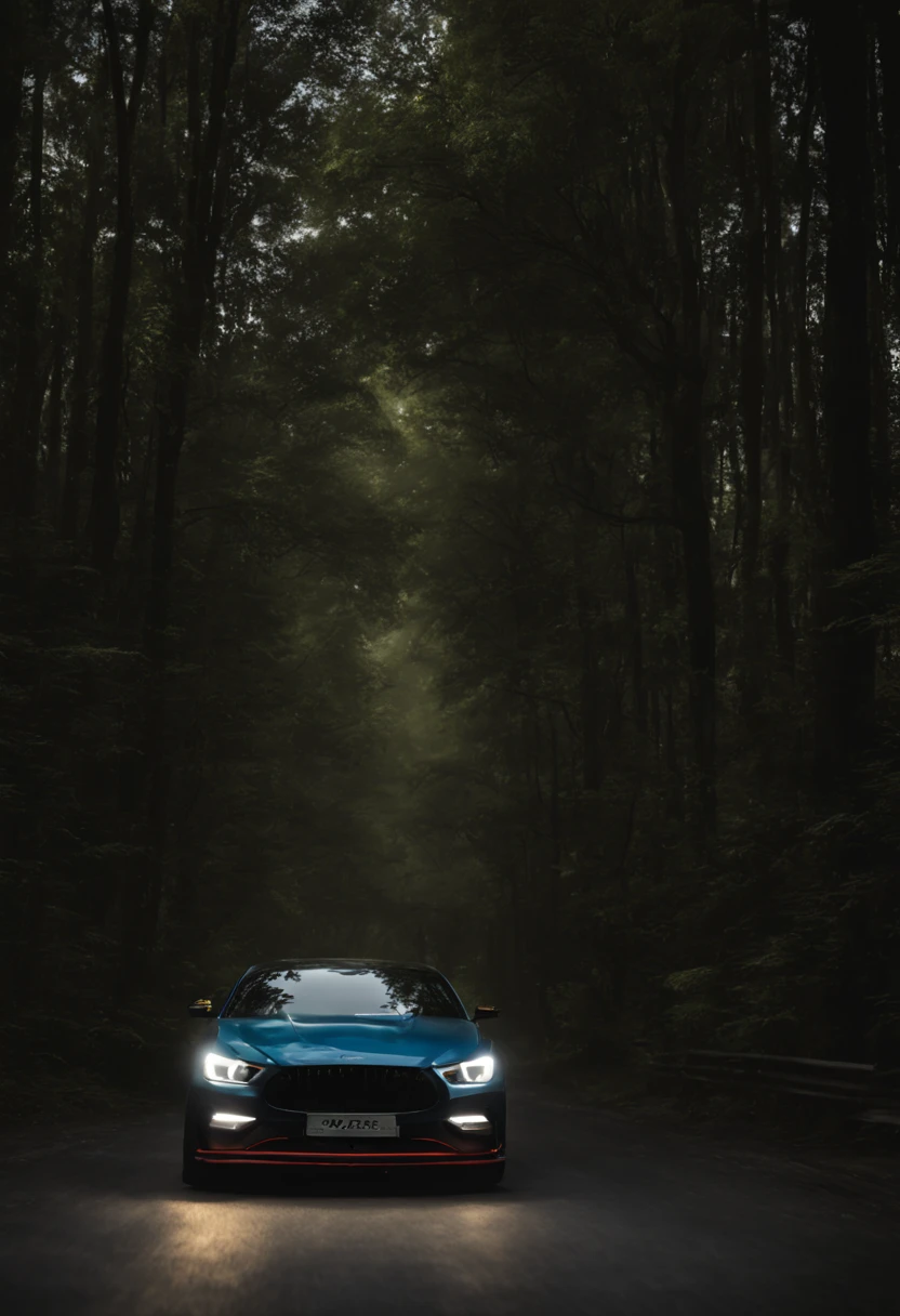 Car Race , both sides of the road are wooded, dimly lit, front lighting, high quality images.