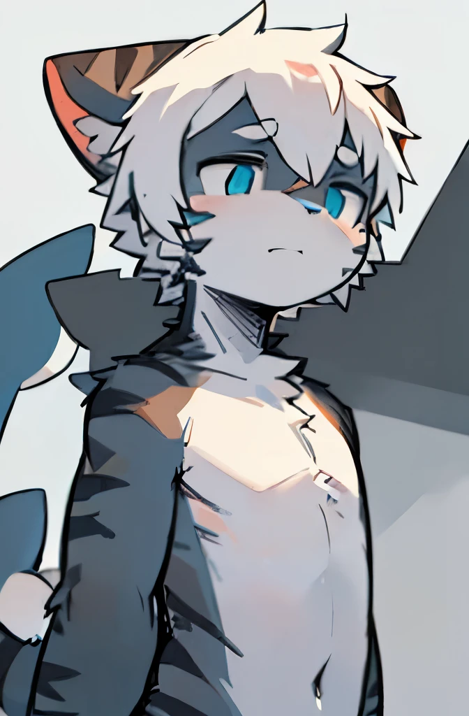 (masterpiece, best quality:1.2,Excellent details),little boy, alone,Shark tail,cat ears,Black stripes,blue eyes,short white hair