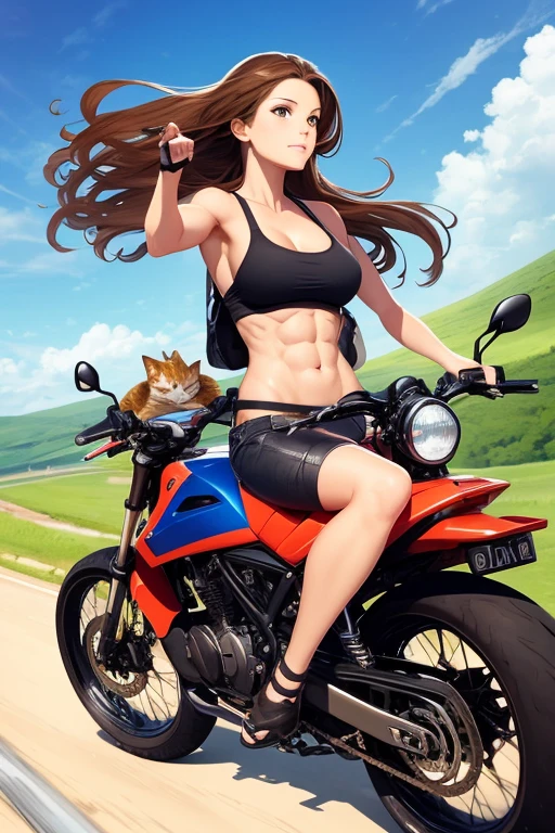 an illustration of a woman riding a motorcycle with a cat on top, 1girl, sky, ground vehicle, brown hair, cat, day, outdoors, bag, cloud, long hair, abs, blue sky, brown eyes, breasts, motor vehicle, navel, muscular, muscular female, shorts, motorcycle
