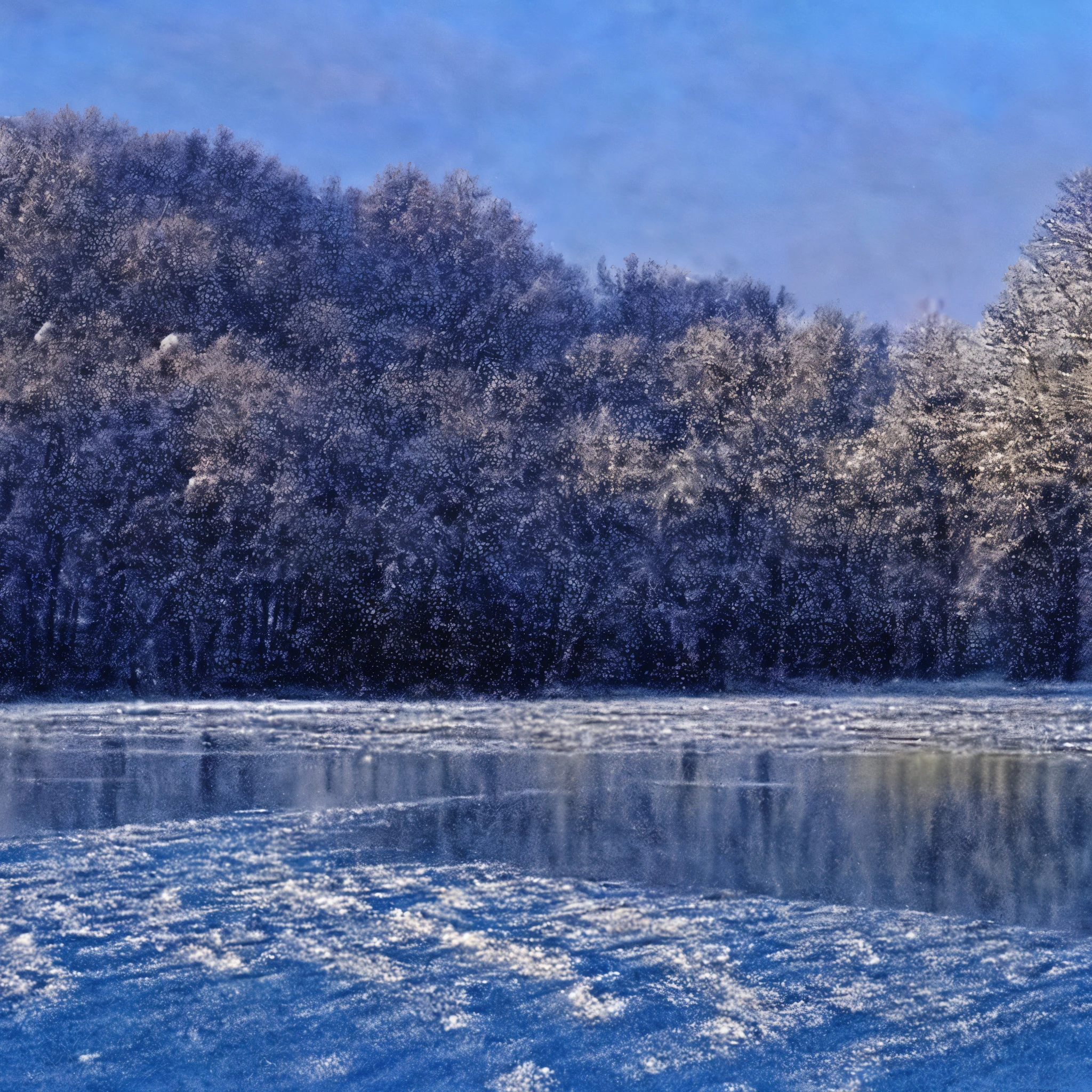 beautiful winter scenery