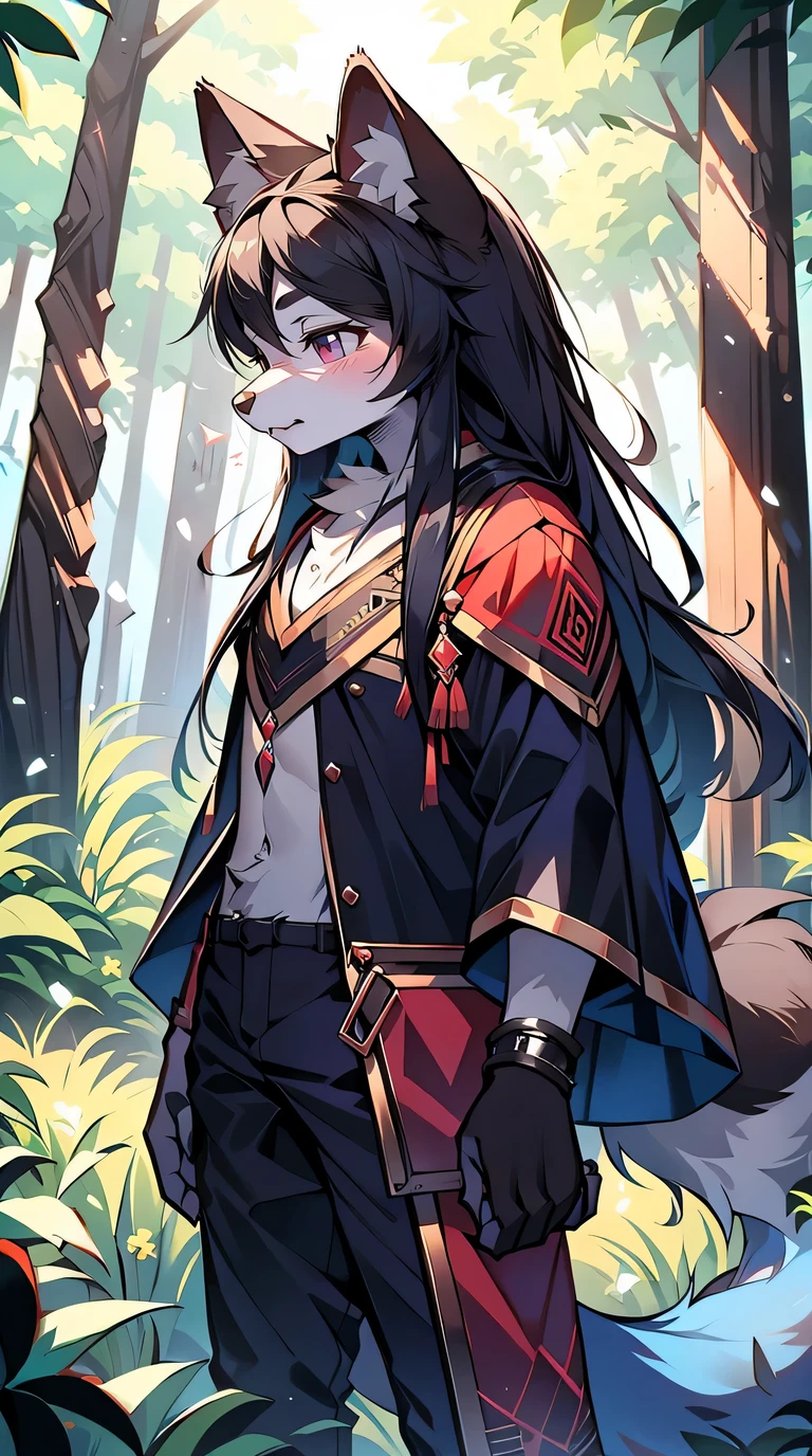 The male wolf is 180 cm tall，bluish violet eyes, , long black hair, Tail,  The upper body shows off the perfect body，red and black costume，with smile，Two small ears，Stand with fair skin ，in the woods