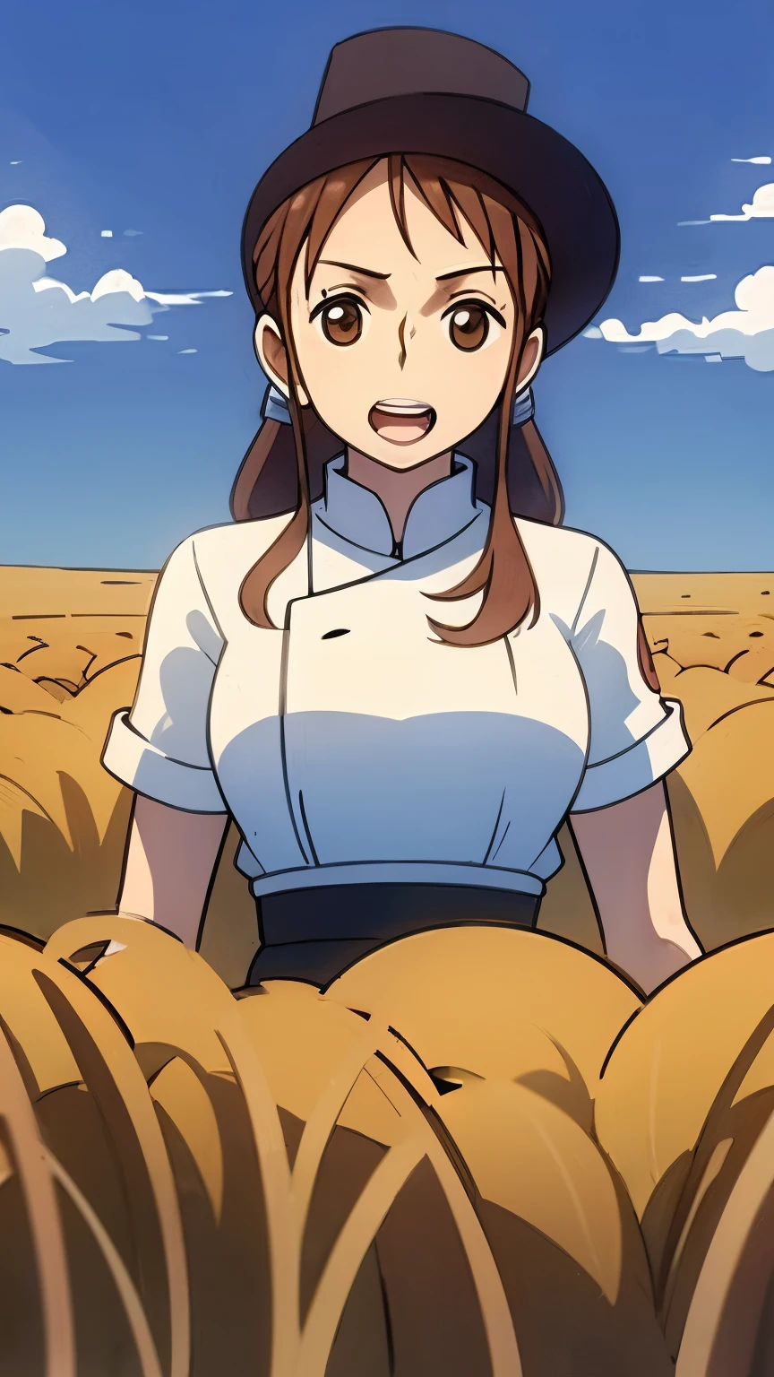 best quality, chef-d&#39;artwork,1fille, Dusk, nuageux, wheat field,vu sur tout le corps,gros seins